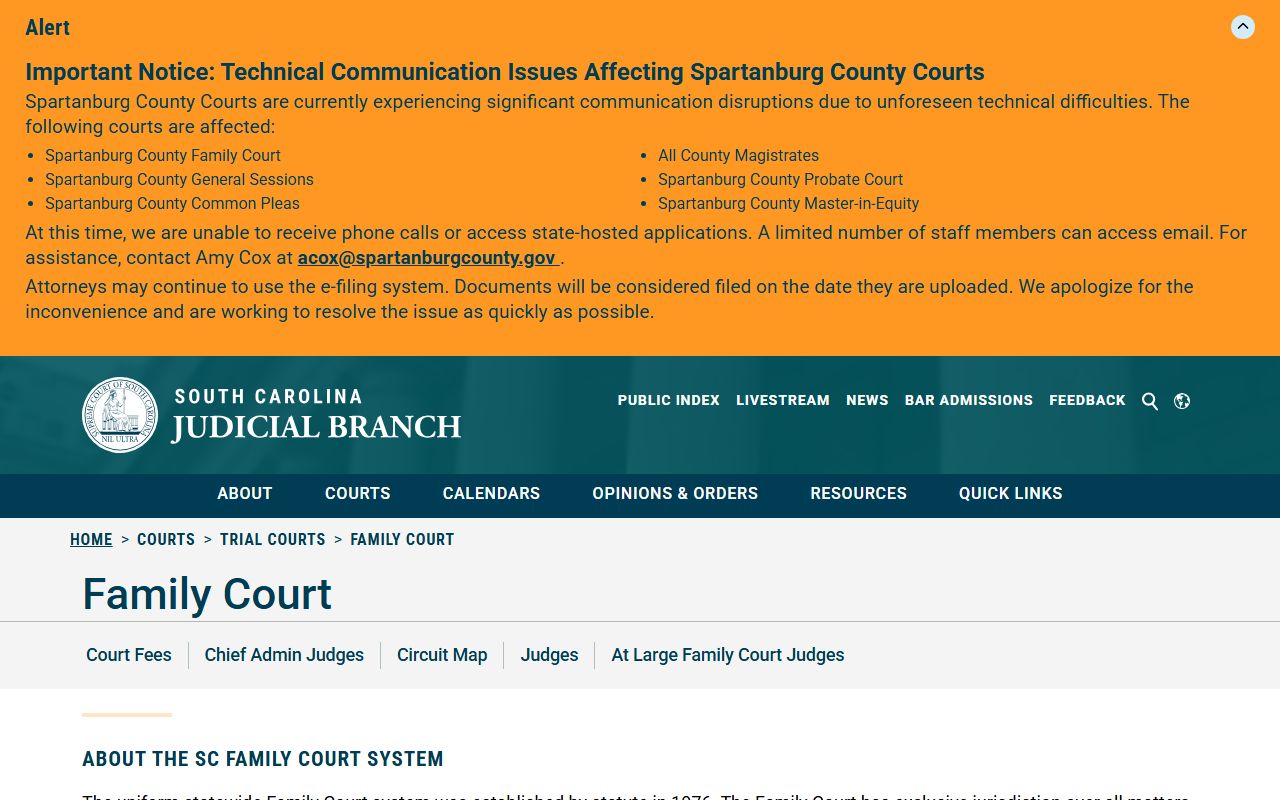 Marlboro County criminal court records source showing Family Court juvenile and domestic jurisdiction
